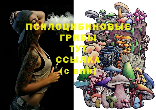 прущая мука Надым