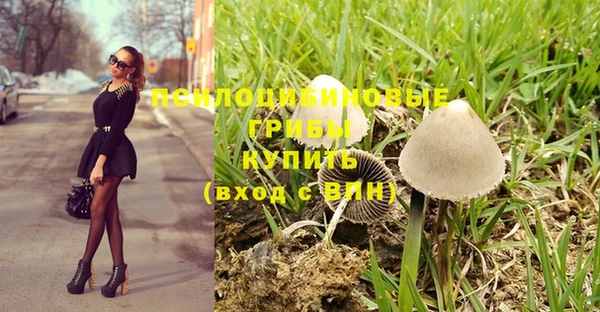 прущая мука Надым