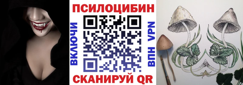Галлюциногенные грибы Psilocybine cubensis  Купить где  Сретенск 