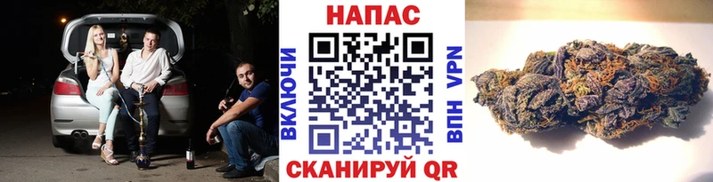 Купить  Сретенск  Канабис гибрид 